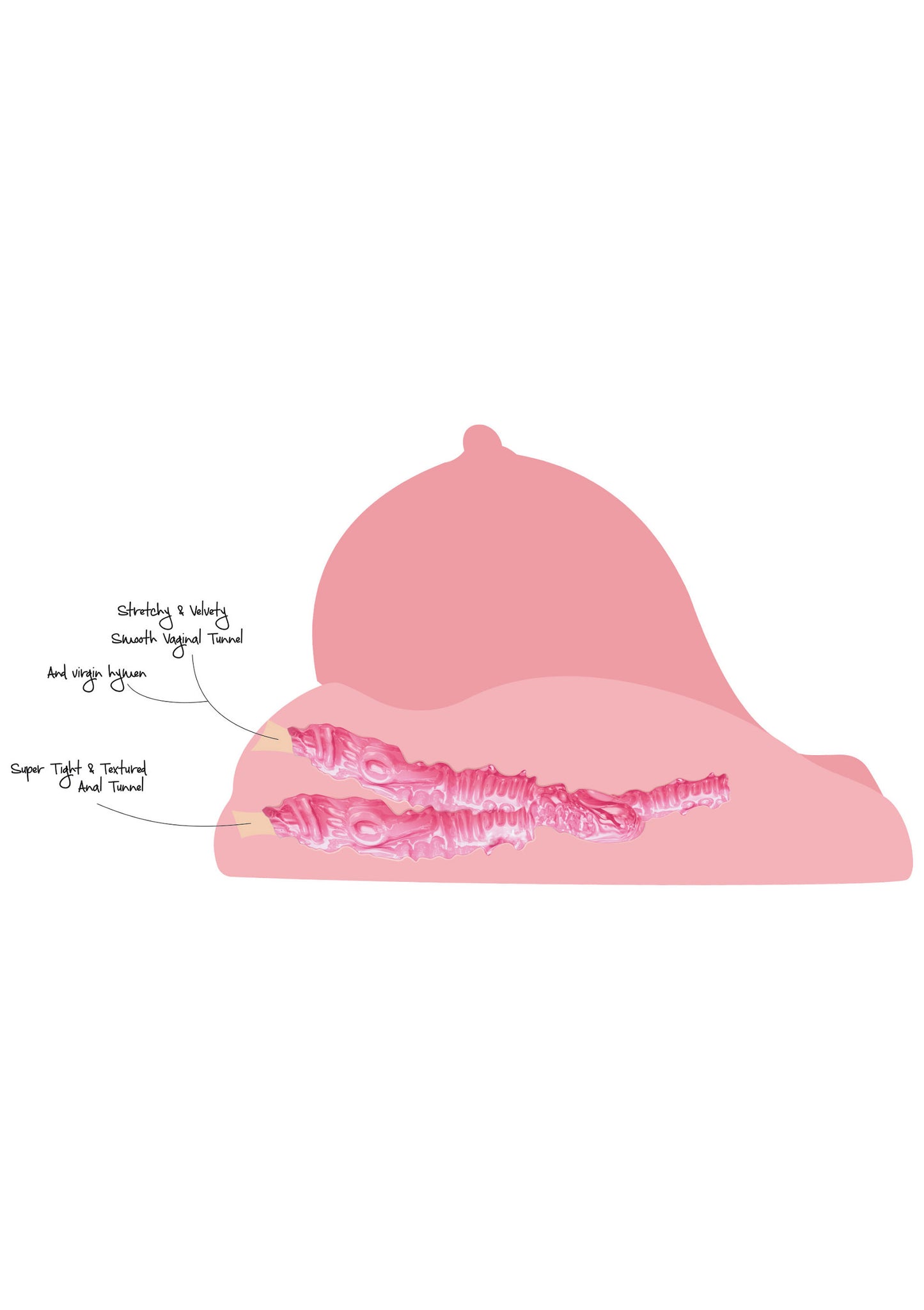 Hidden Desire Bangers Fuck My Virgin Pussy SKIN - 0