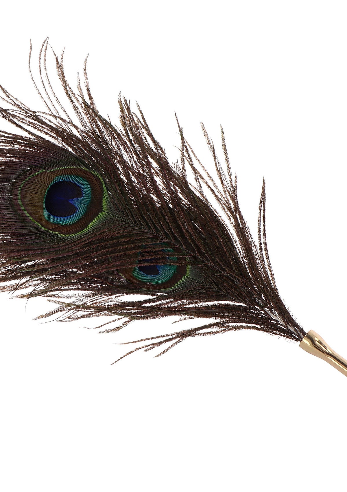 Peacock Tickler GOLD - 5