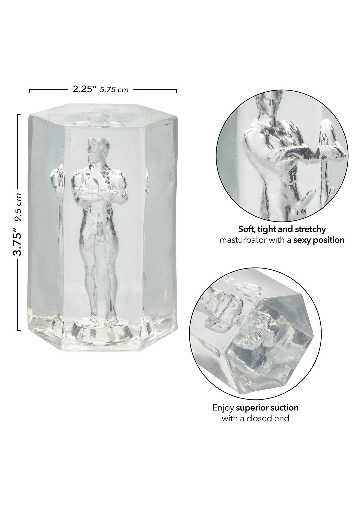 CalExotics Guys Guys Guys David TRANSPA - 7