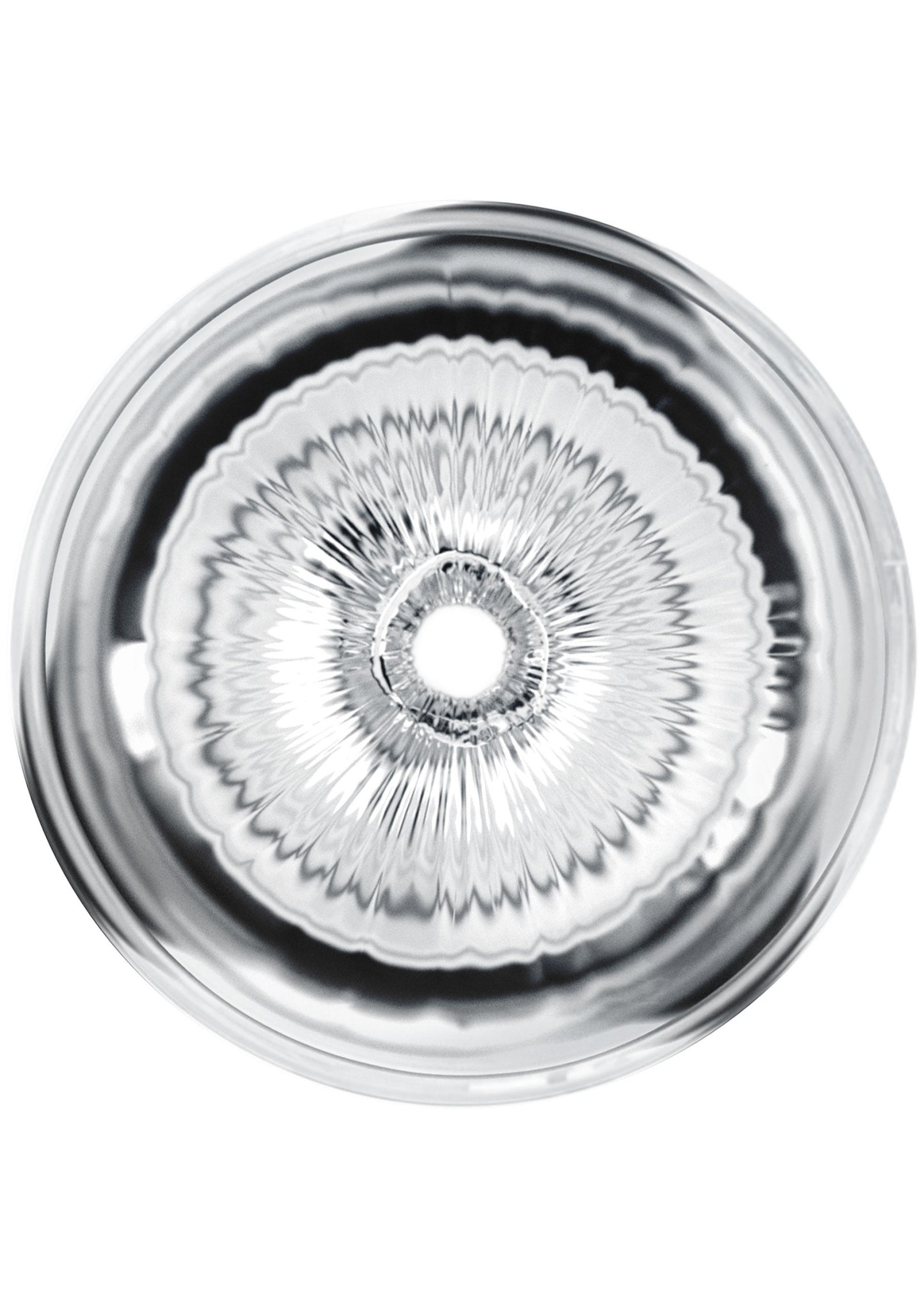 PRIVATE Clear Shot Pussy & Ass TRANSPA - 1