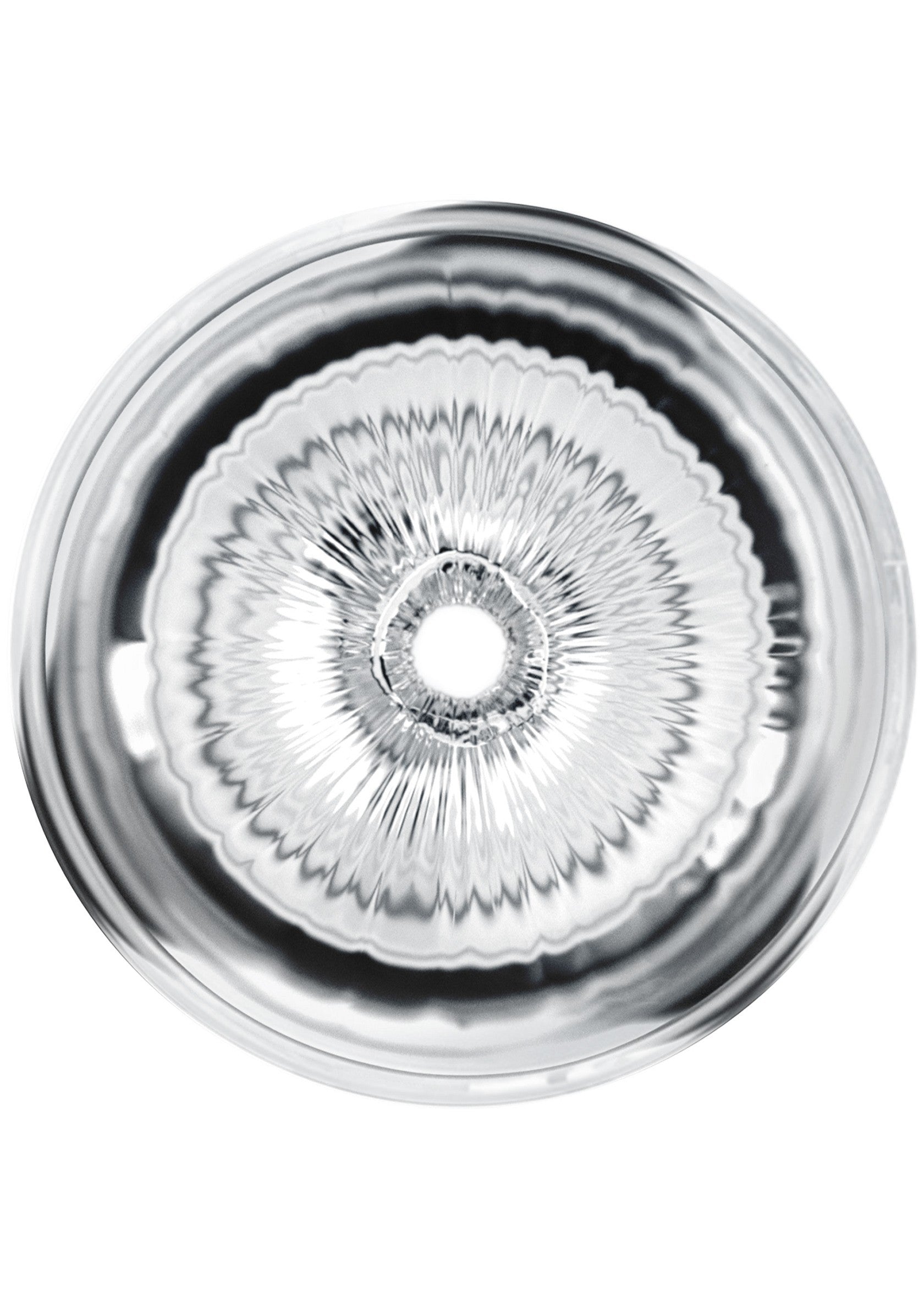 PRIVATE Clear Shot Pussy & Ass TRANSPA - 1