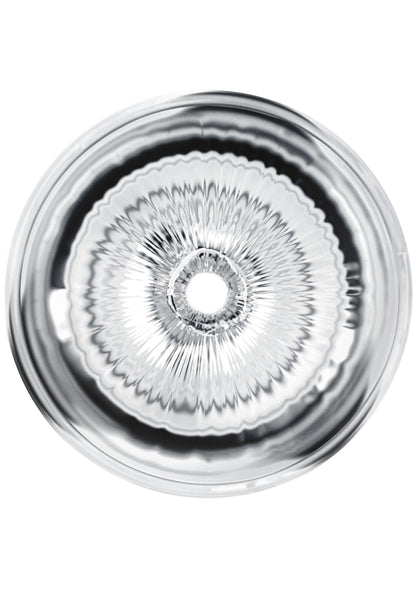 PRIVATE Clear Shot Pussy & Ass TRANSPA - 1