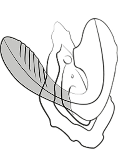 Romp Reverb PURPLE - 18