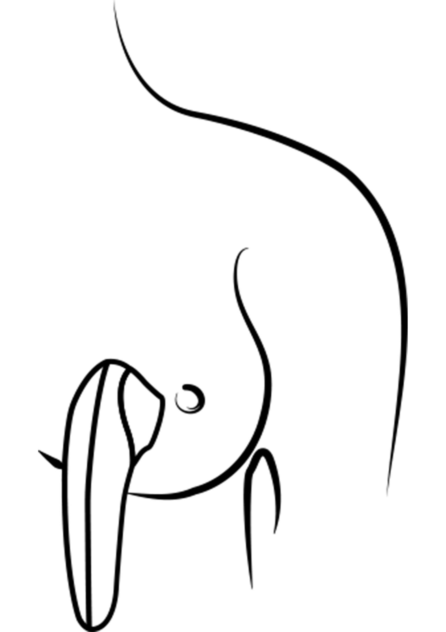 Romp Switch X ORANGE - 1