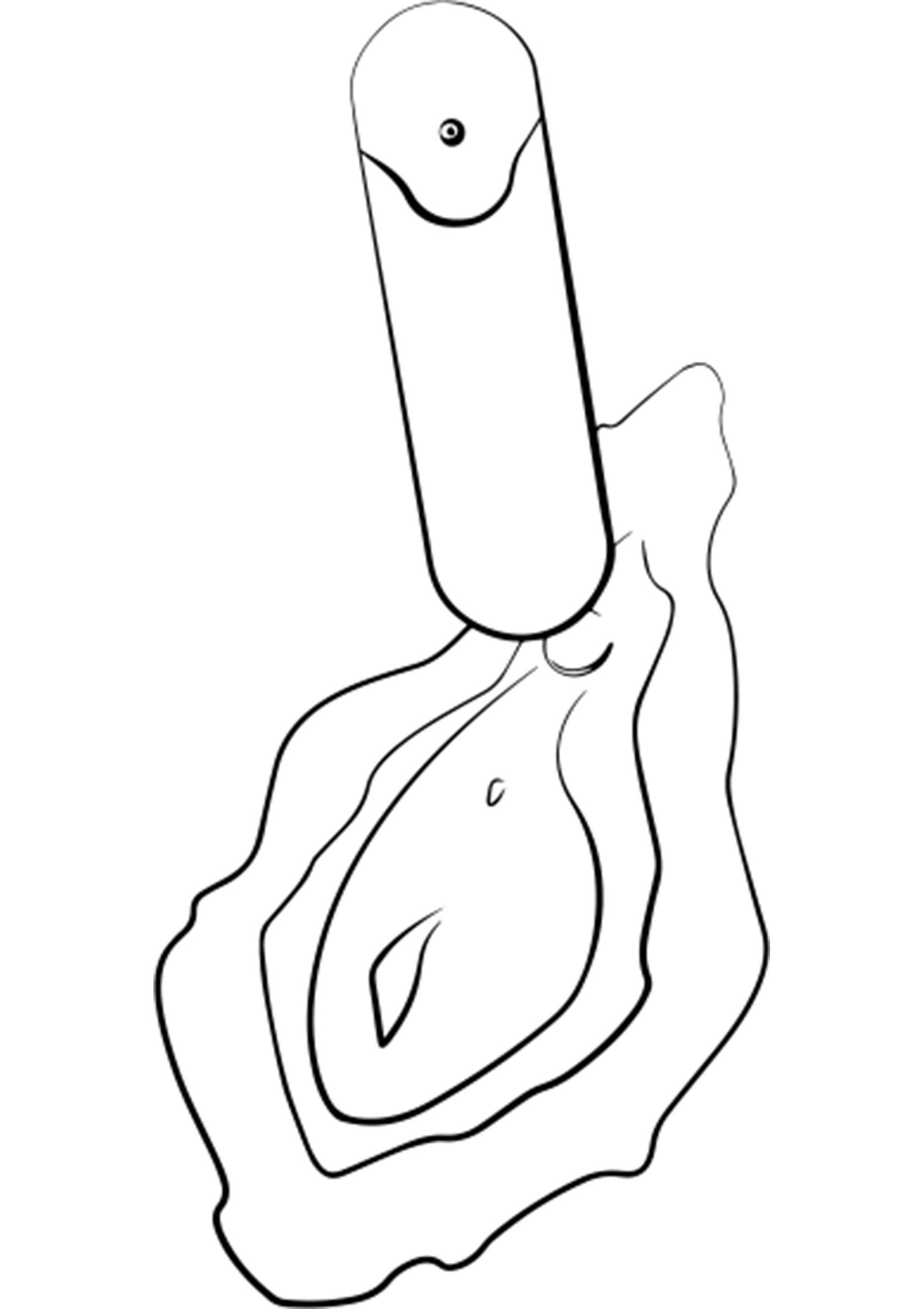 Romp Riot ORANGE - 3