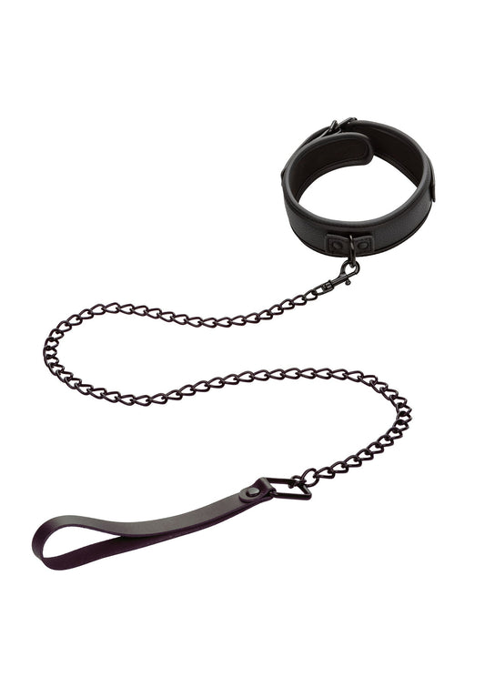 CalExotics Nocturnal Collection Collar &amp; Leash