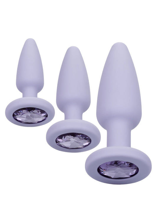 Crystal Booty Kit - Paars