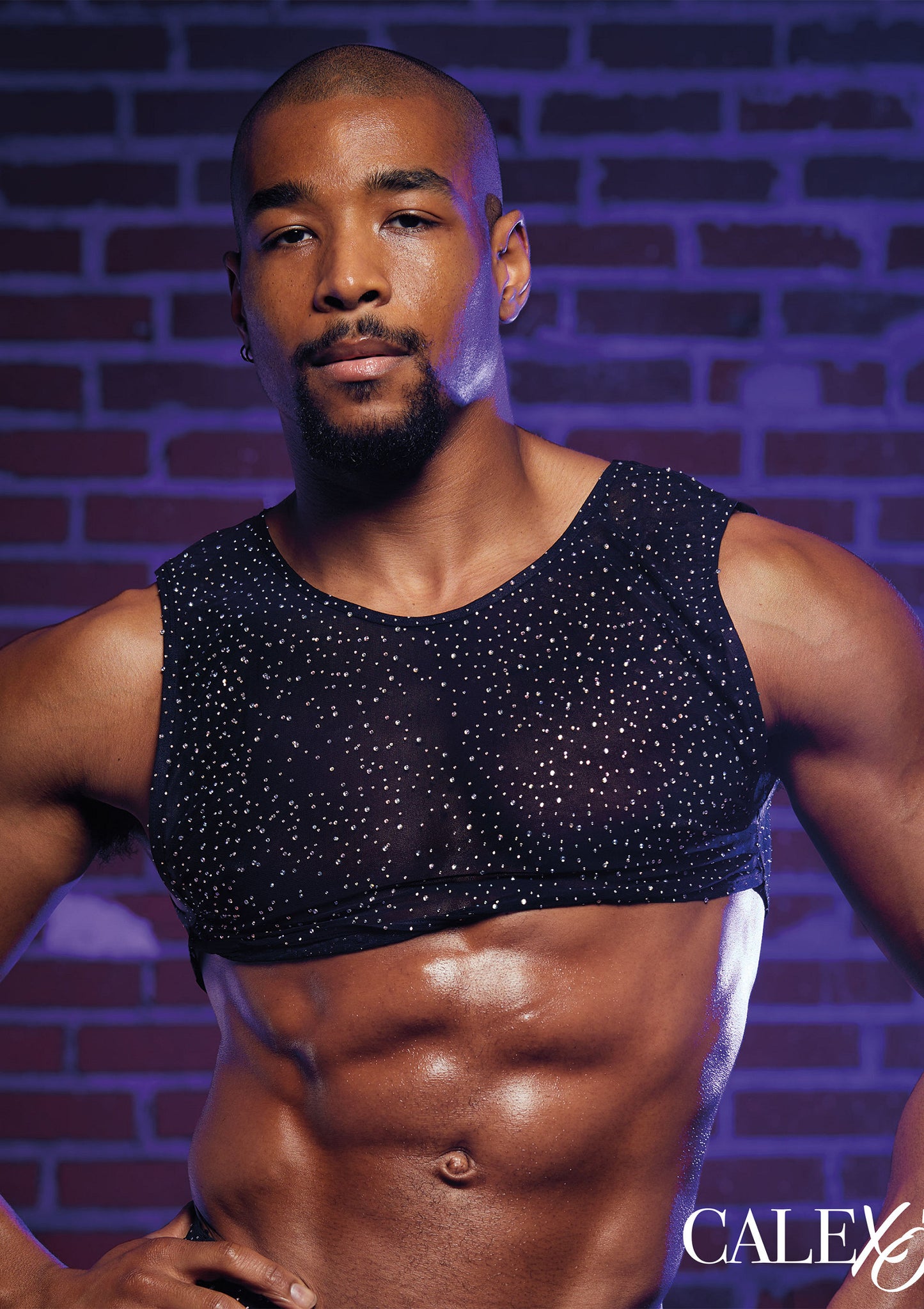 CalExotics Radiance Crop Top BLACK O/S - 2