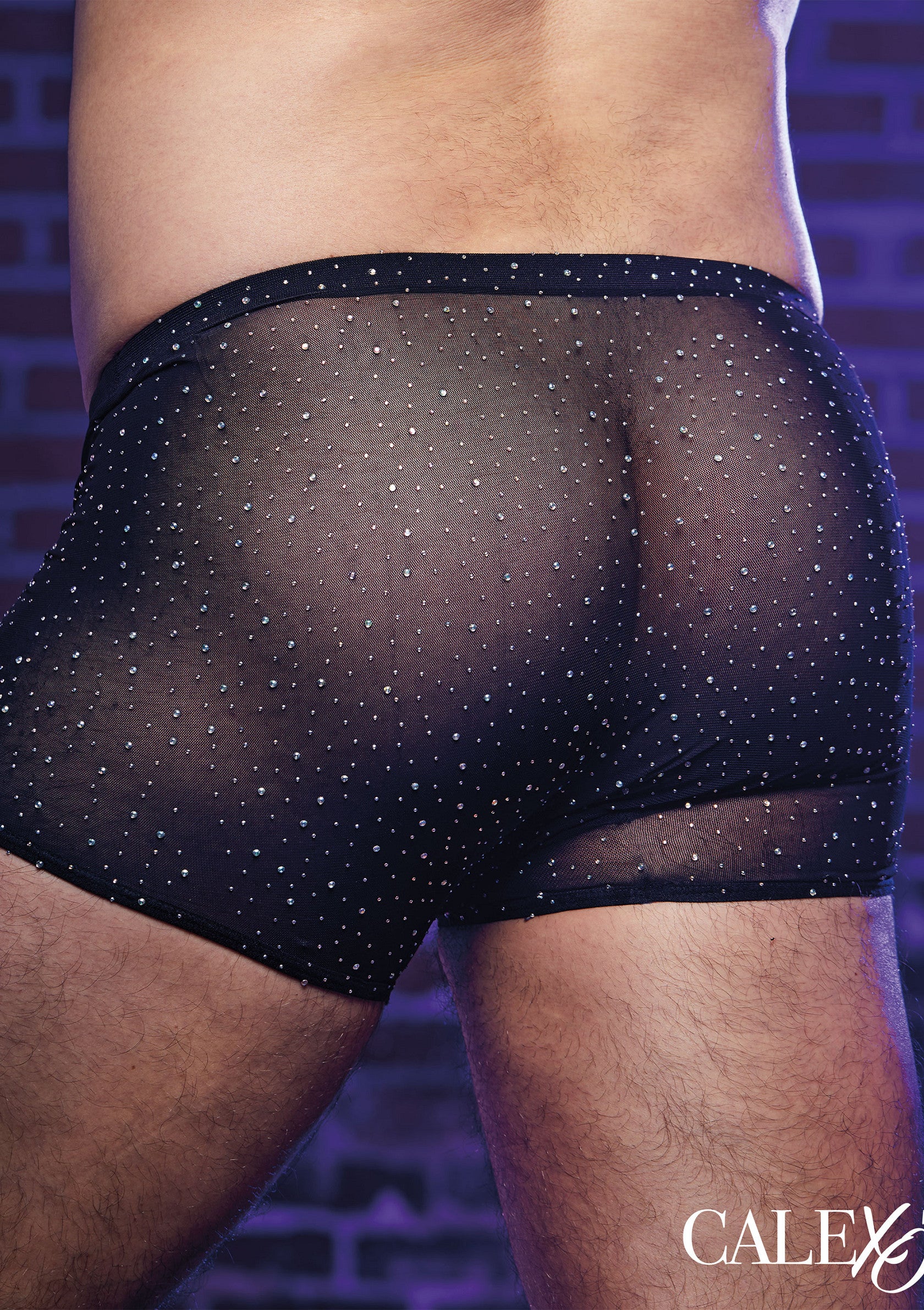 CalExotics Radiance Boxer Briefs BLACK O/S - 2