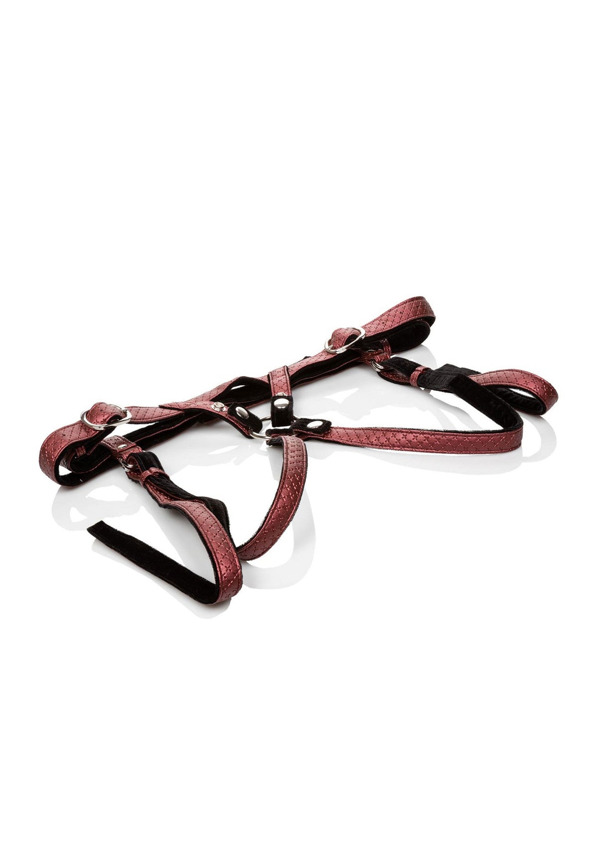 The Regal Duchess RED - 4