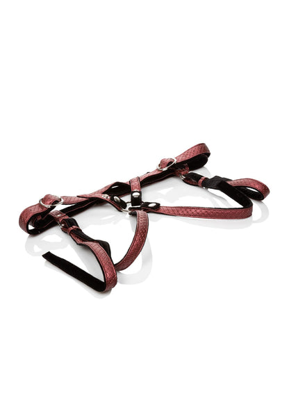 The Regal Duchess RED - 4