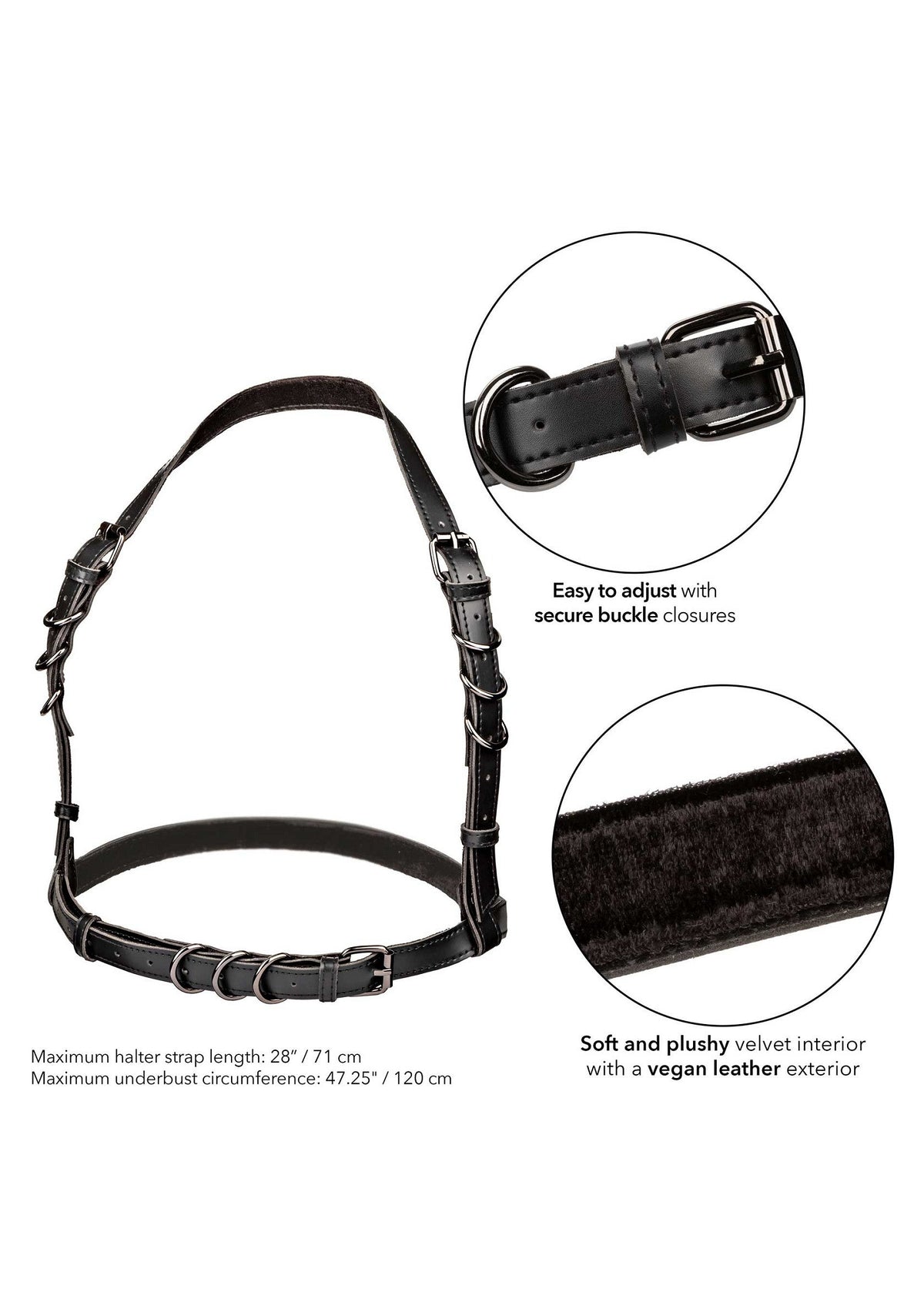 Halter Buckle Harness Plus BLACK - 3