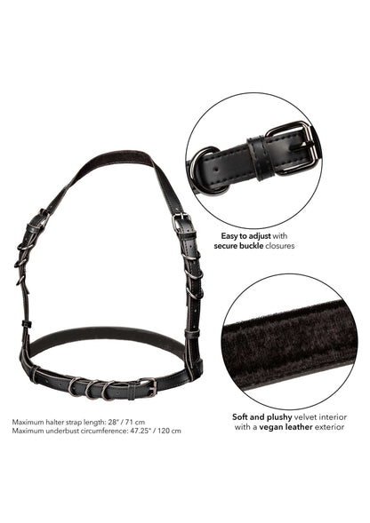 Halter Buckle Harness Plus BLACK - 3