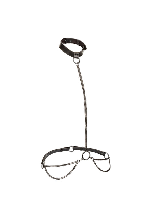 CalExotics Euphoria Collection Plus Size Chain Halter/Collar &amp; Leash