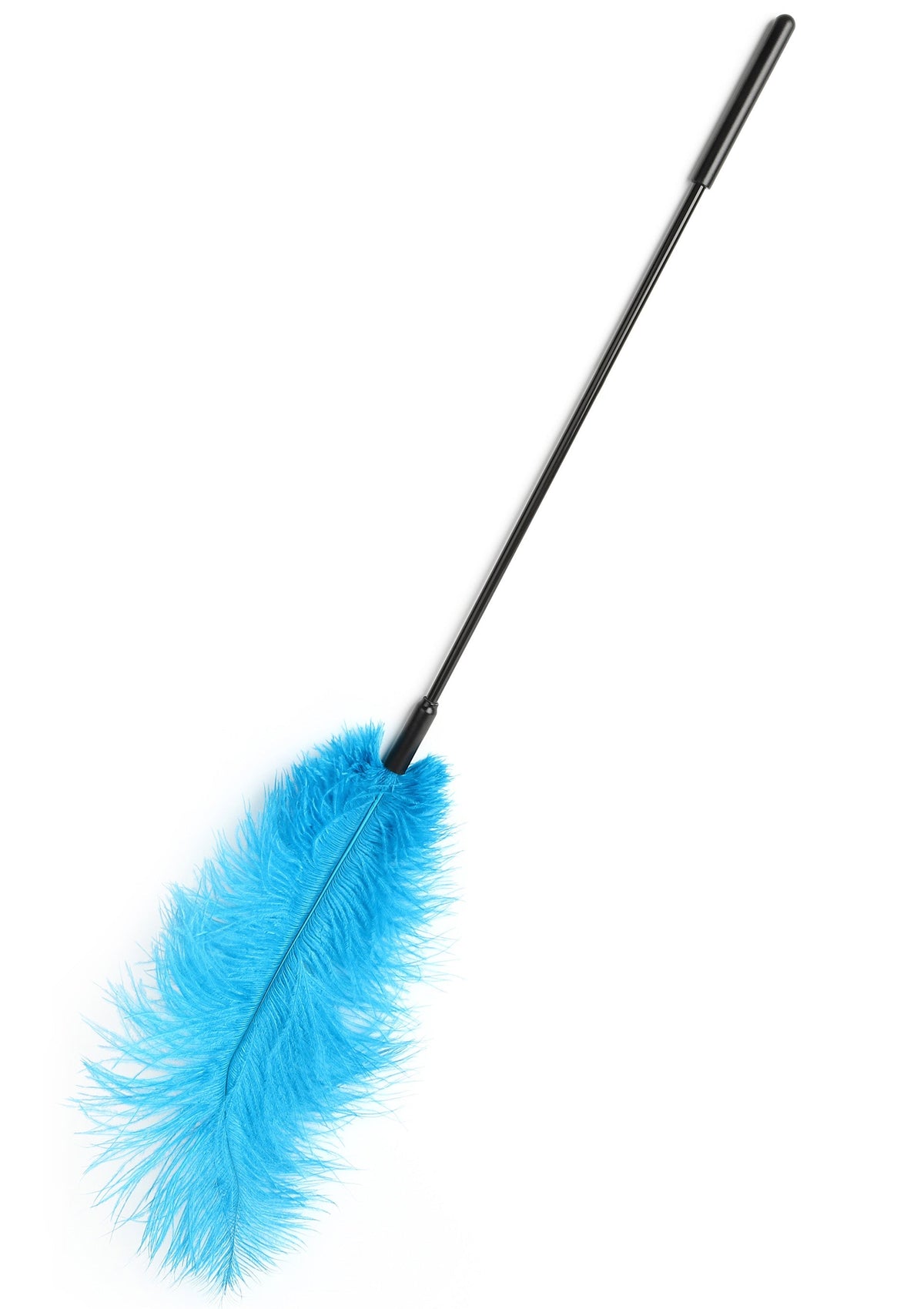 Double Feather Tickler BLUE - 0