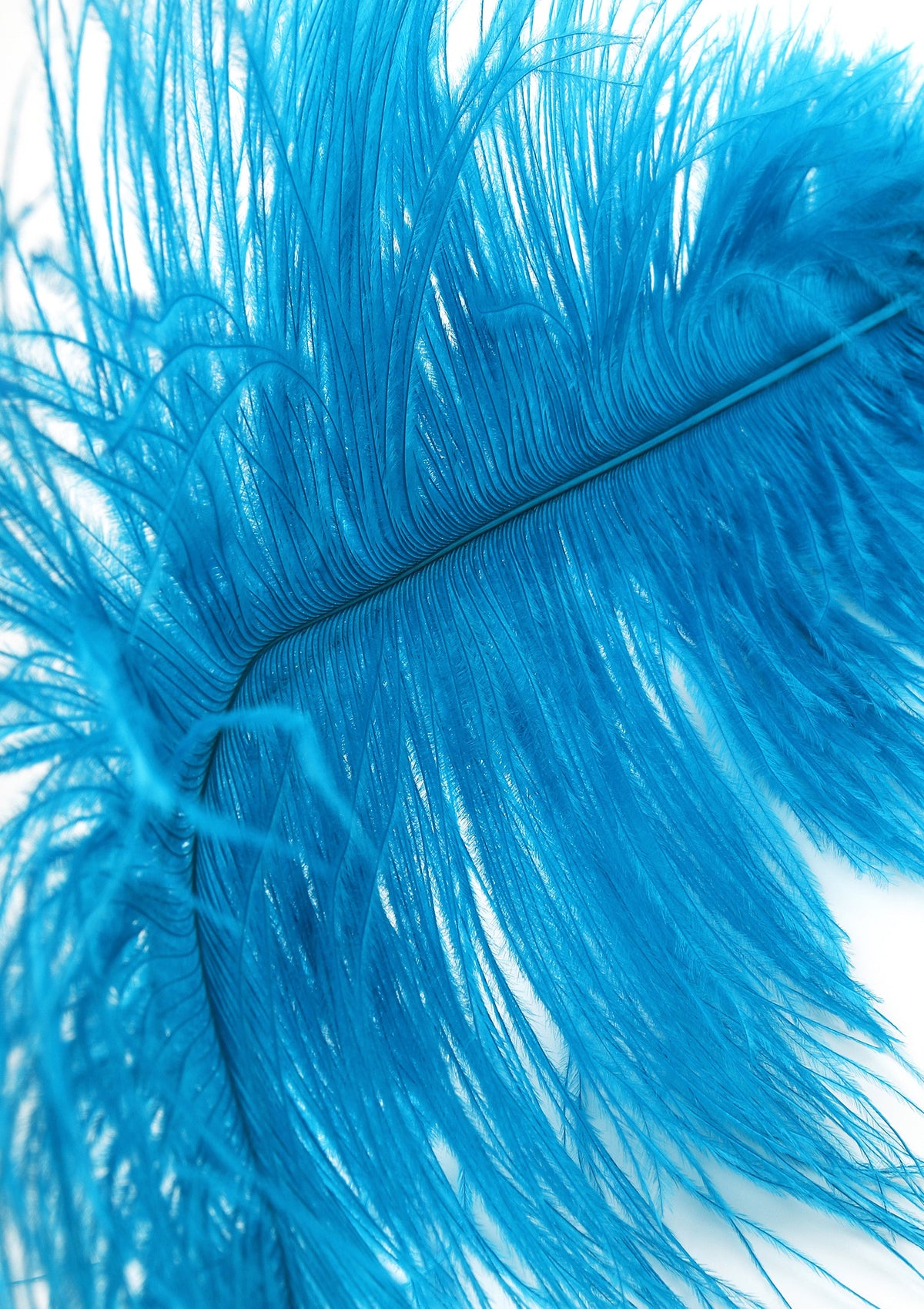Double Feather Tickler BLUE - 3