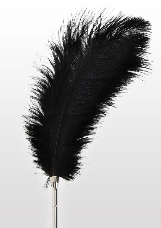 Feather Tickler