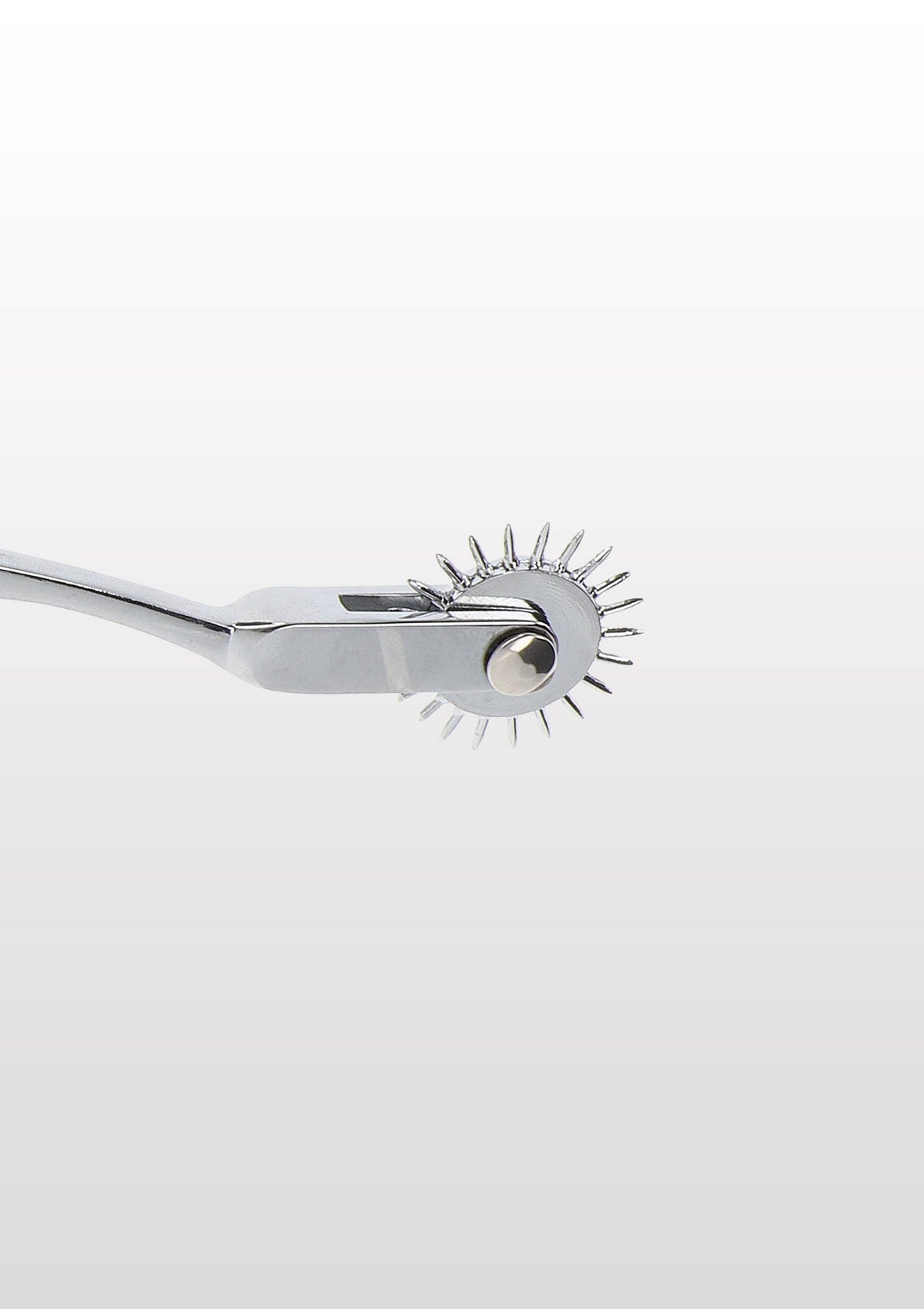 Warterberg Wheel SILVER - 1