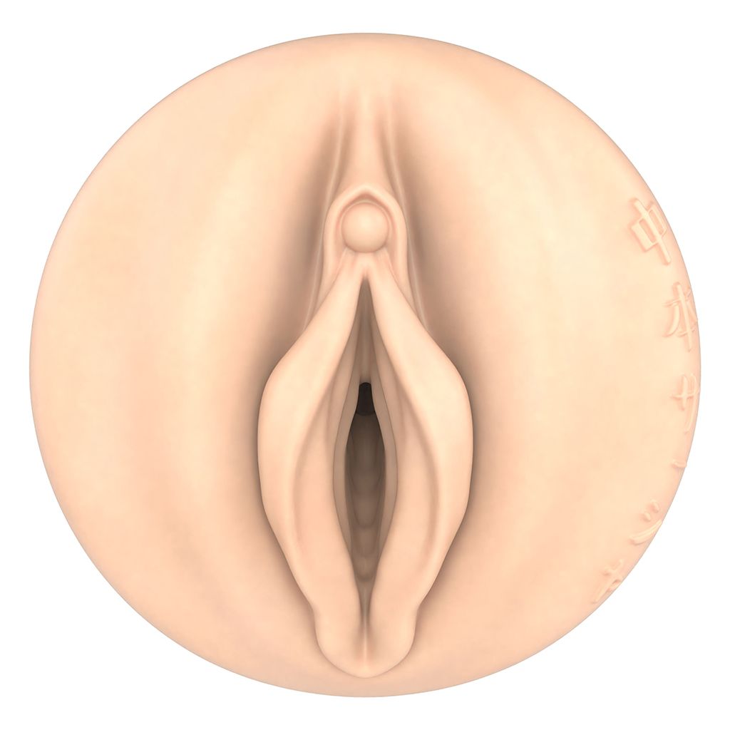 Fleshlight Fantasy - Sasha Nakamoto Ecchi - 3