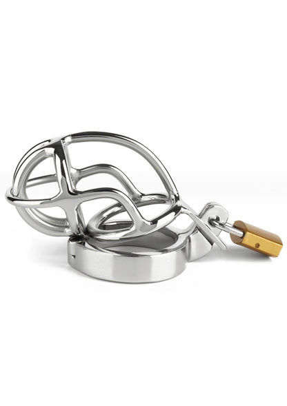 San Quentin Chastity Cage SILVER - 6