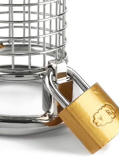 Mr. Steel Matrix Cock Cage SILVER - 1