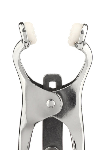 Squeezer Nipple Clamps W Ring SILVER - 5