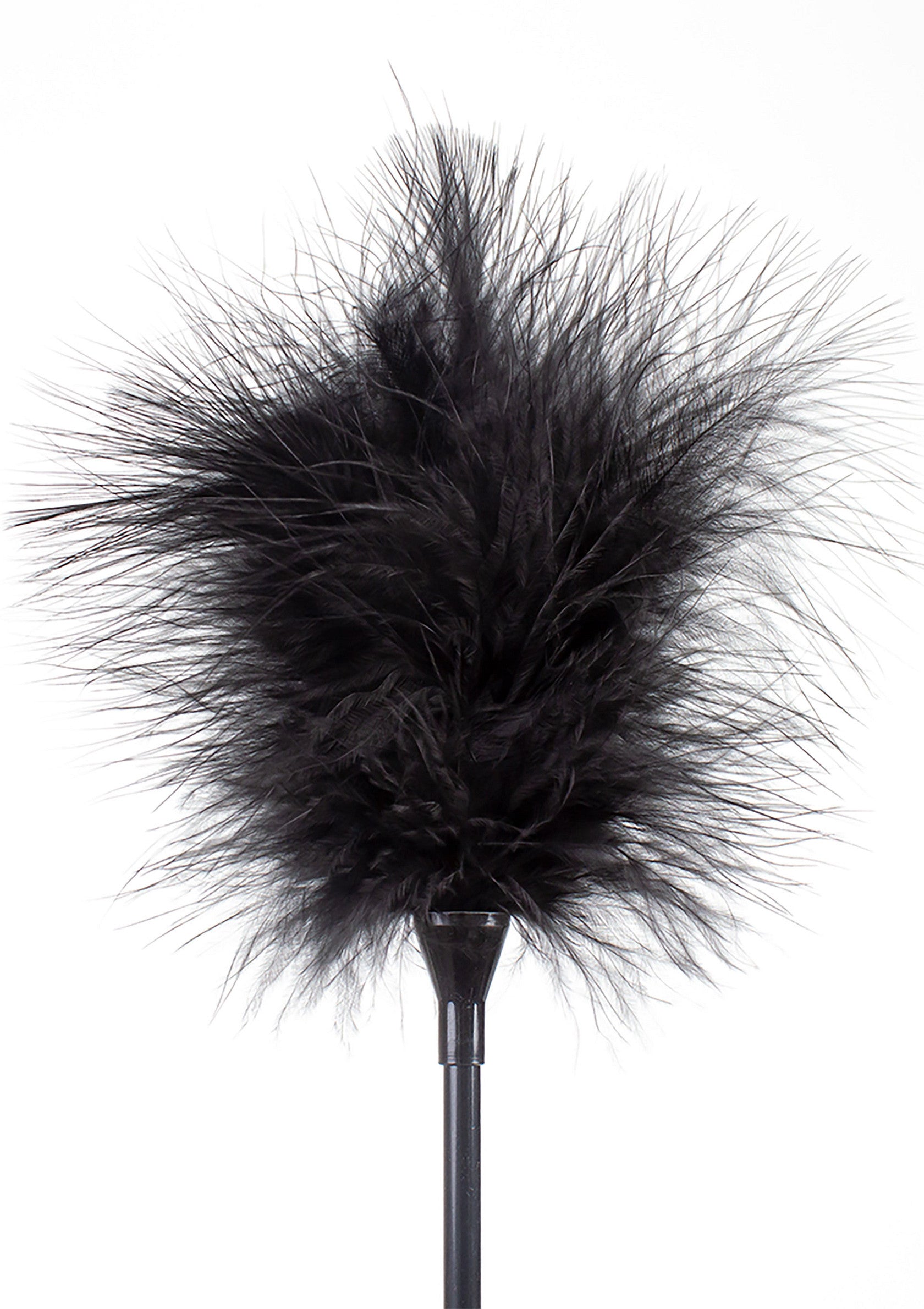 Secret Play Feather Tickler & Whip BLACK - 0