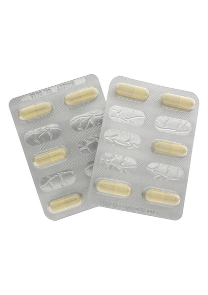 Exxtreme Woman Libido Caps 10 pcs NATUREL - 1